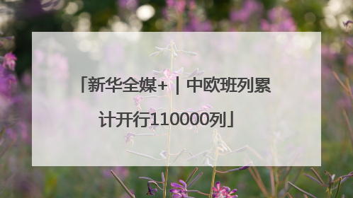 新华全媒+｜中欧班列累计开行110000列