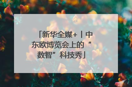 新华全媒+丨中东欧博览会上的“数智”科技秀