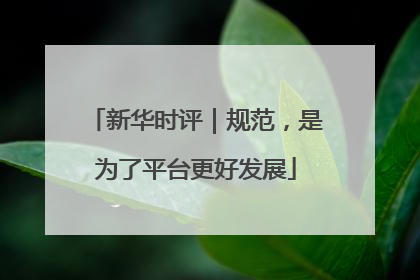 新华时评｜规范，是为了平台更好发展