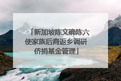 新加坡陈文确陈六使家族后裔返乡调研侨捐基金管理