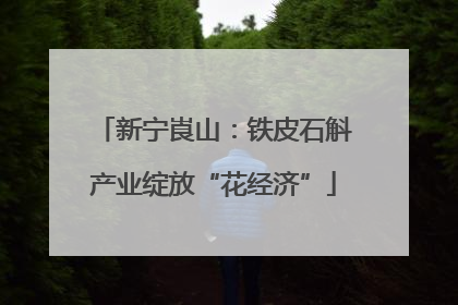 新宁崀山：铁皮石斛产业绽放“花经济”
