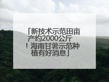 新技术示范田亩产约2000公斤！海南甘薯示范种植有好消息
