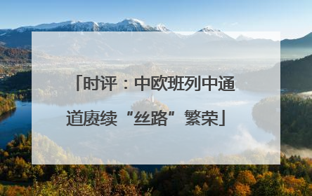 时评：中欧班列中通道赓续“丝路”繁荣