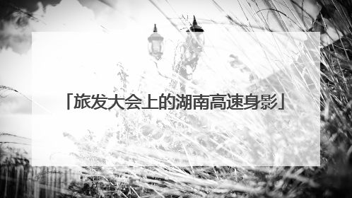 旅发大会上的湖南高速身影