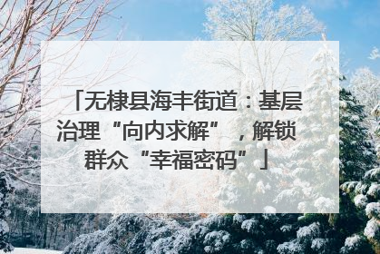 无棣县海丰街道：基层治理“向内求解”，解锁群众“幸福密码”