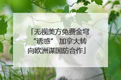 无视美方免费金穹“诱惑” 加拿大转向欧洲谋国防合作