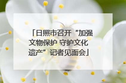 日照市召开“加强文物保护 守护文化遗产”记者见面会