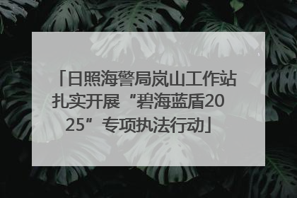 日照海警局岚山工作站扎实开展“碧海蓝盾2025”专项执法行动