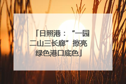 日照港：“一园二山三长廊”擦亮绿色港口底色