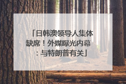 日韩澳领导人集体缺席！外媒曝光内幕：与特朗普有关