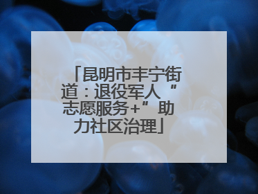 昆明市丰宁街道：退役军人“志愿服务+”助力社区治理
