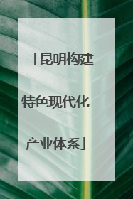 昆明构建特色现代化产业体系