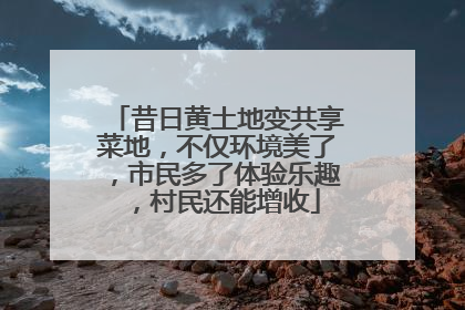 昔日黄土地变共享菜地，不仅环境美了，市民多了体验乐趣，村民还能增收