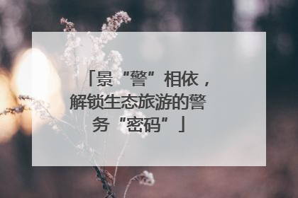 景“警”相依，解锁生态旅游的警务“密码”
