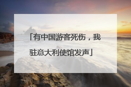 有中国游客死伤，我驻意大利使馆发声