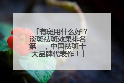 有斑用什么好？淡斑祛斑效果排名第一，中国祛斑十大品牌代表作！