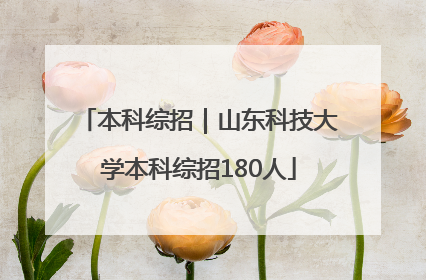 本科综招｜山东科技大学本科综招180人