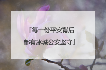 每一份平安背后 都有冰城公安坚守