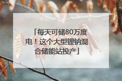 每天可储80万度电！这个大型锂钠混合储能站投产