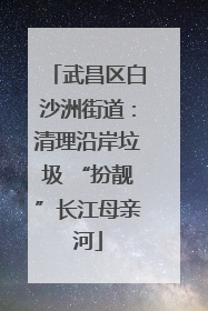 武昌区白沙洲街道：清理沿岸垃圾 “扮靓”长江母亲河