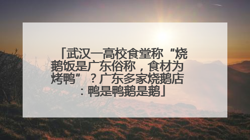 武汉一高校食堂称“烧鹅饭是广东俗称，食材为烤鸭”？广东多家烧鹅店：鸭是鸭鹅是鹅