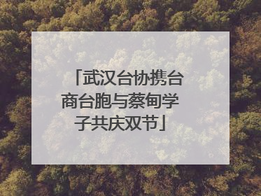 武汉台协携台商台胞与蔡甸学子共庆双节