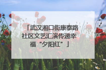武汉湘口街康泰路社区文艺汇演传递幸福“夕阳红”