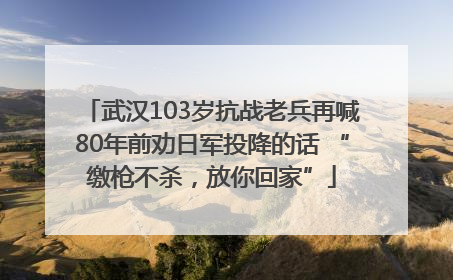 武汉103岁抗战老兵再喊80年前劝日军投降的话 “缴枪不杀，放你回家”