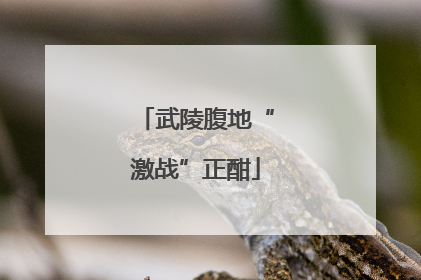 武陵腹地“激战”正酣
