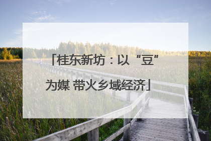 桂东新坊：以“豆”为媒 带火乡域经济