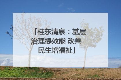 桂东清泉：基层治理提效能 改善民生增福祉