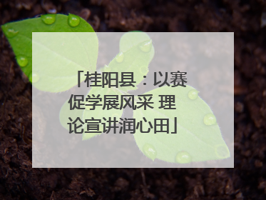 桂阳县：以赛促学展风采 理论宣讲润心田