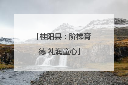 桂阳县：阶梯育德 礼润童心