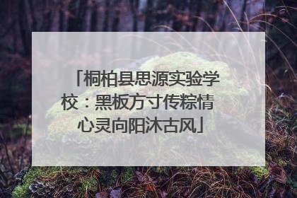 桐柏县思源实验学校：黑板方寸传粽情 心灵向阳沐古风