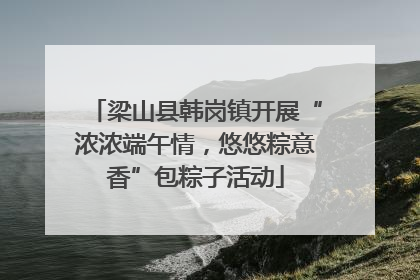 梁山县韩岗镇开展“浓浓端午情，悠悠粽意香”包粽子活动