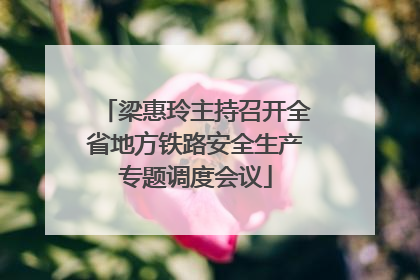 梁惠玲主持召开全省地方铁路安全生产专题调度会议