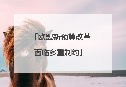 欧盟新预算改革面临多重制约