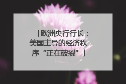 欧洲央行行长：美国主导的经济秩序“正在破裂”