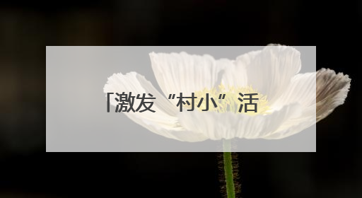 激发“村小”活力 共绘多彩童年——乡村基础教育发展观察
