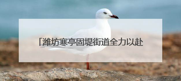 潍坊寒亭固堤街道全力以赴护航“三夏”安全生产工作