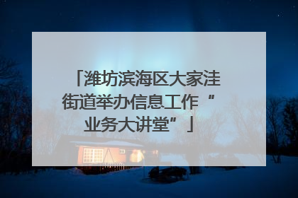 潍坊滨海区大家洼街道举办信息工作“业务大讲堂”