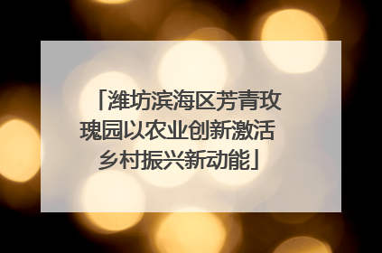 潍坊滨海区芳青玫瑰园以农业创新激活乡村振兴新动能