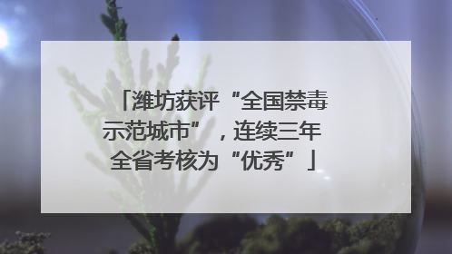 潍坊获评“全国禁毒示范城市”，连续三年全省考核为“优秀”