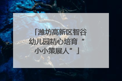 潍坊高新区智谷幼儿园精心培育“小小策展人”