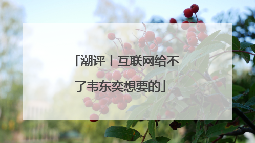 潮评丨互联网给不了韦东奕想要的