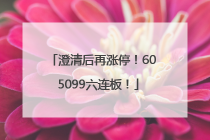 澄清后再涨停！605099六连板！
