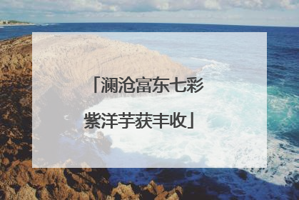 澜沧富东七彩紫洋芋获丰收