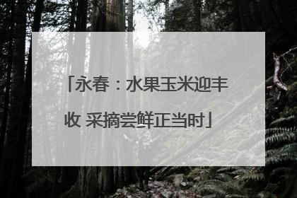 永春：水果玉米迎丰收 采摘尝鲜正当时