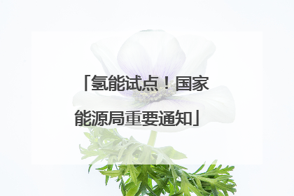 氢能试点！国家能源局重要通知