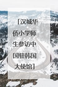 汉城华侨小学师生参访中国驻韩国大使馆